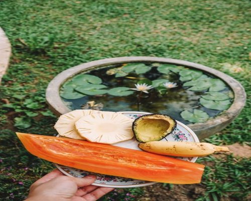 A bowl of fresh tropical fruits including papaya and mango